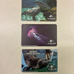 SeaWorld Tickets