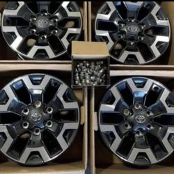 TRD Tacoma Offroad wheels with center caps, lug nuts in excellent condition.