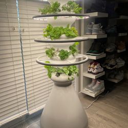 24 Pod Lettuce Grow Farmstand With Halo Led 
