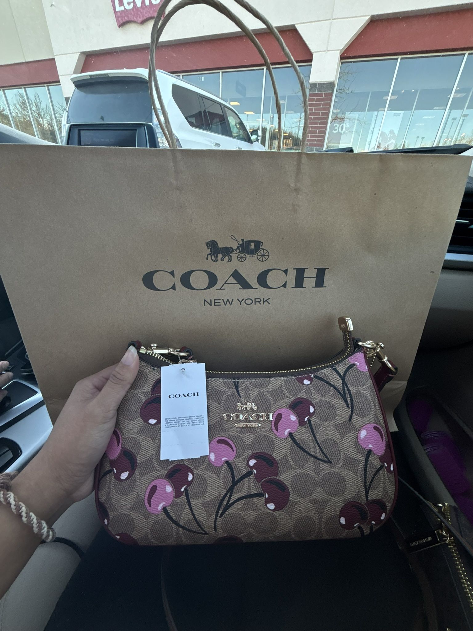 Coach Cherry Brown Bag