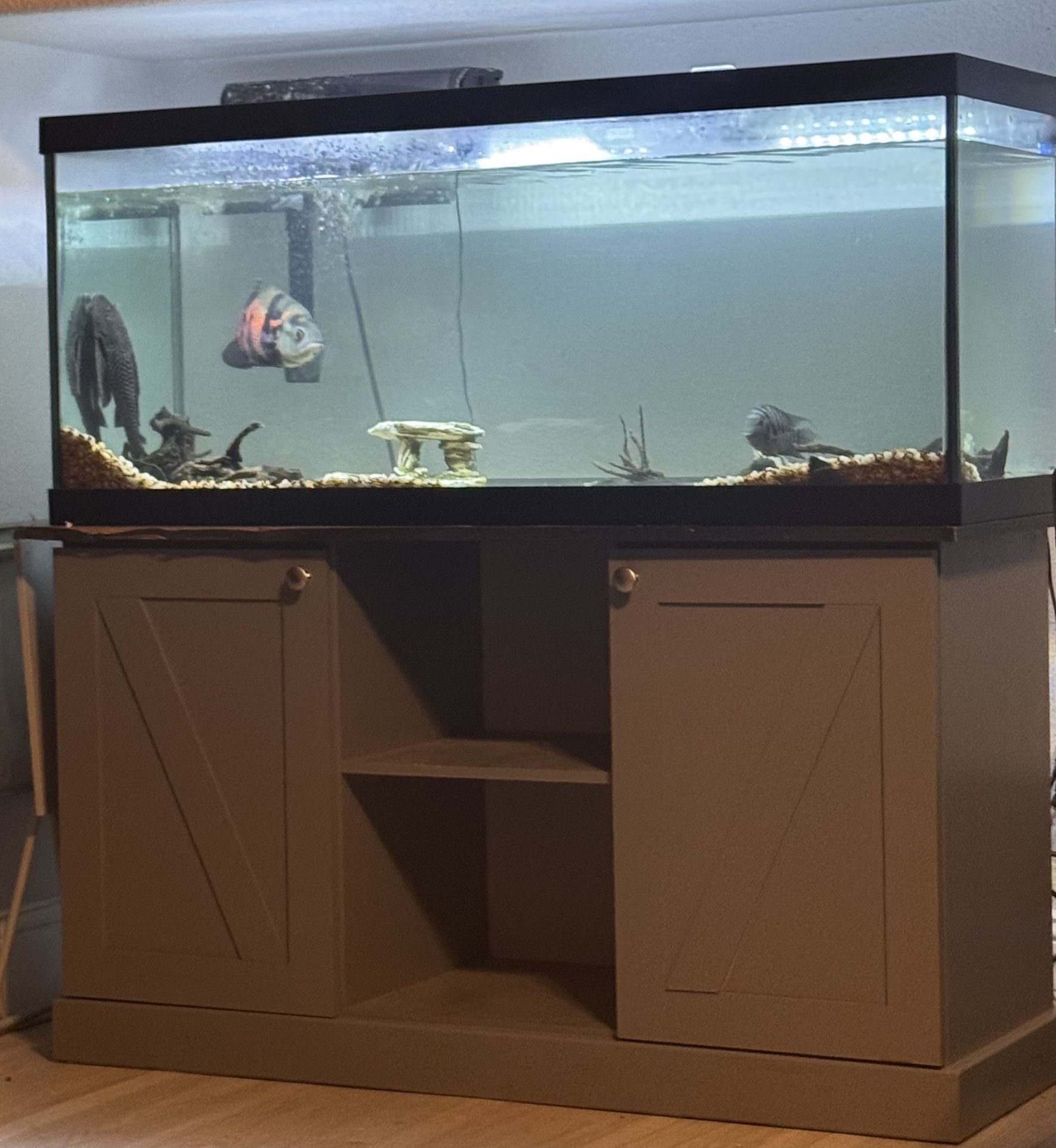 75 gallon Fish Tank