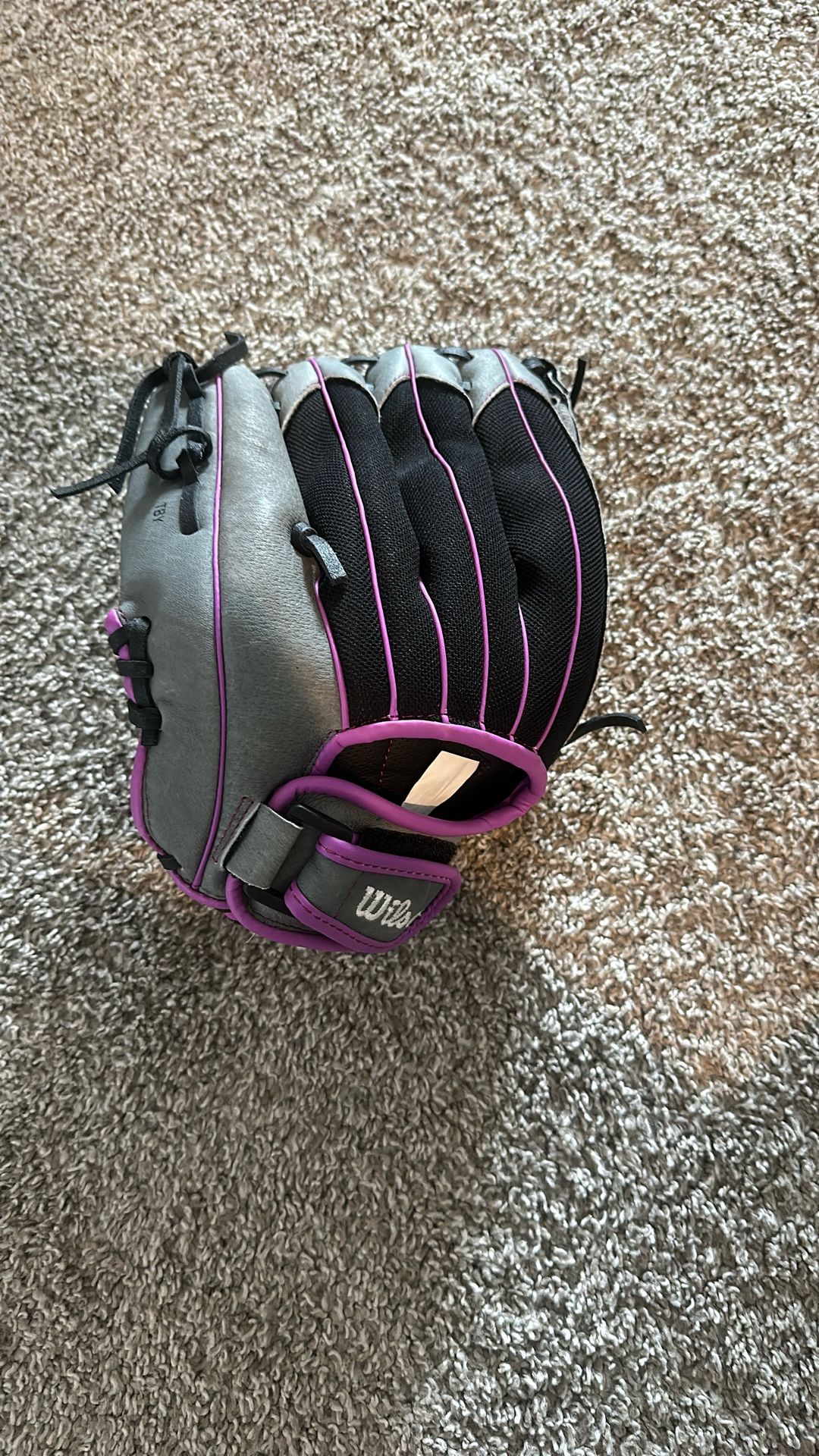 Softball Glove