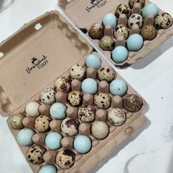Quail Eggs
