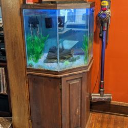 Fish Tank - Corner Unit