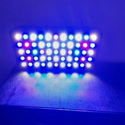 Blackbox led light