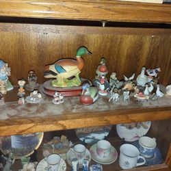Duck Collectables