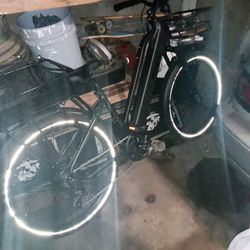 26" Darwin Pacer lite Ebike