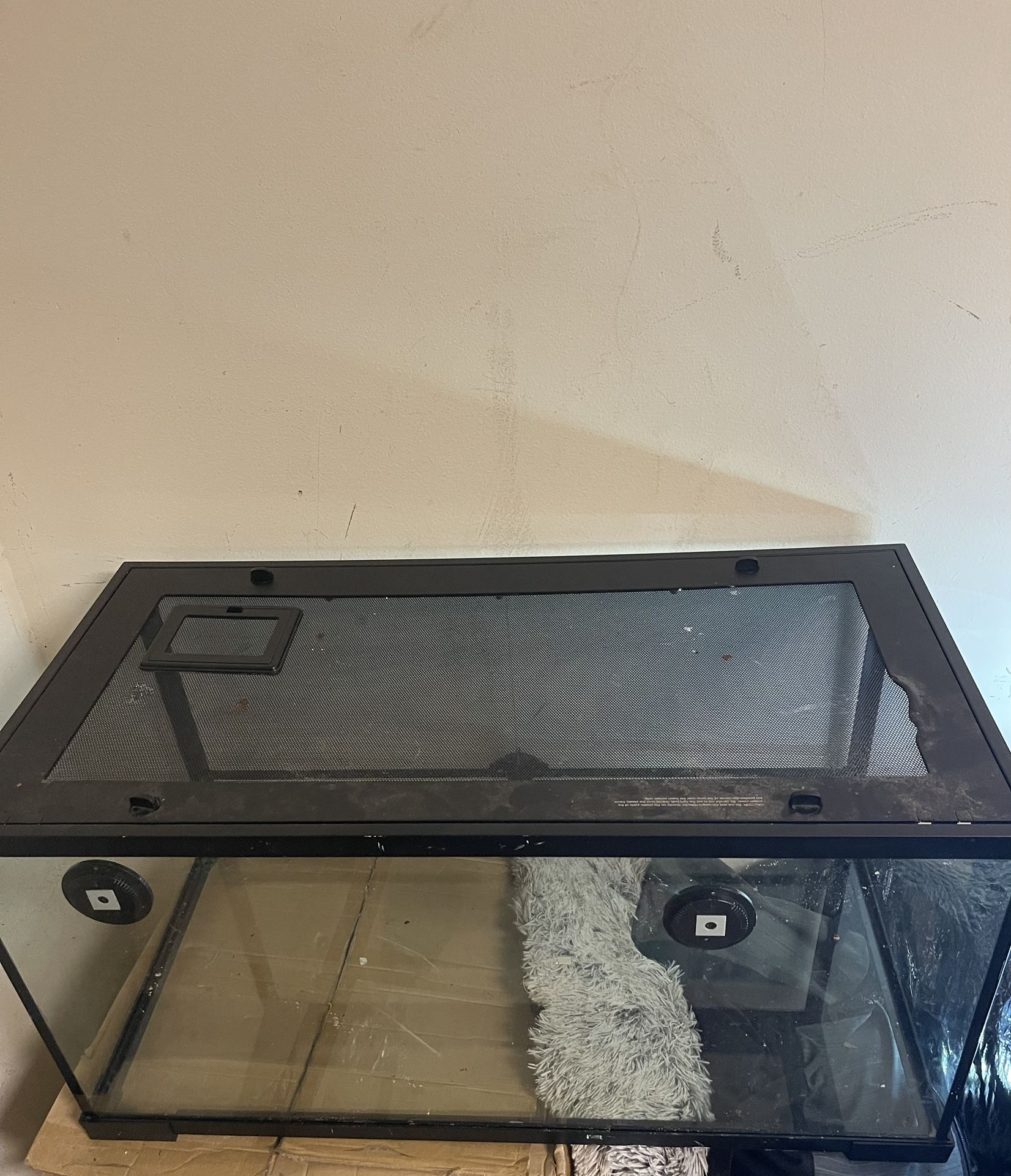 Reptile Tank