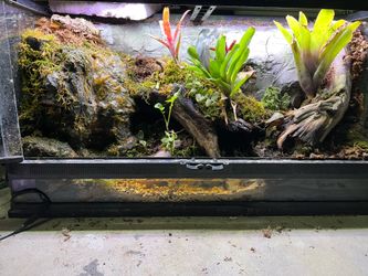 Waterfall terrarium