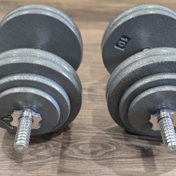 Adjustable dumbbells set 116lbs (2x58lbs)