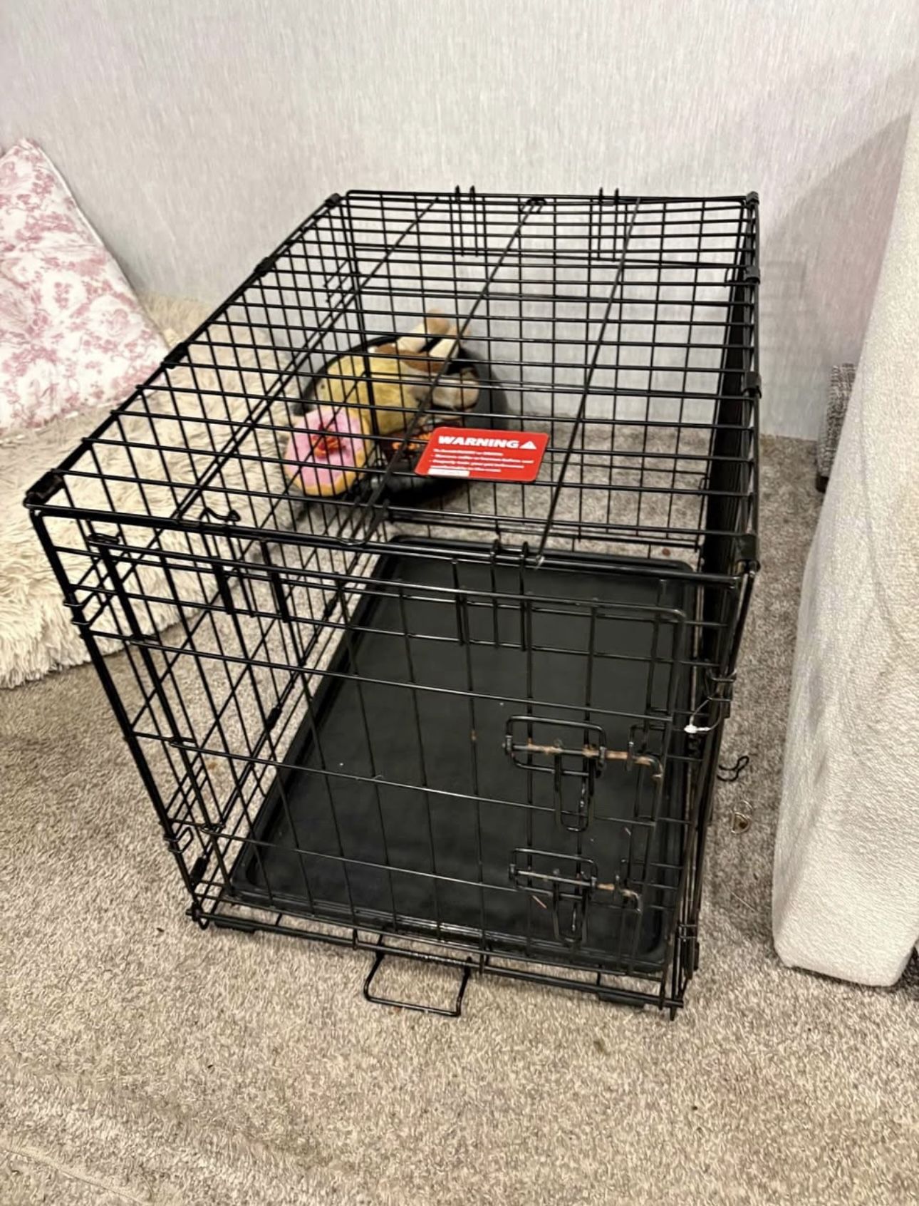 dog crate