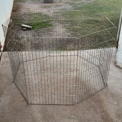 Dog Kennel