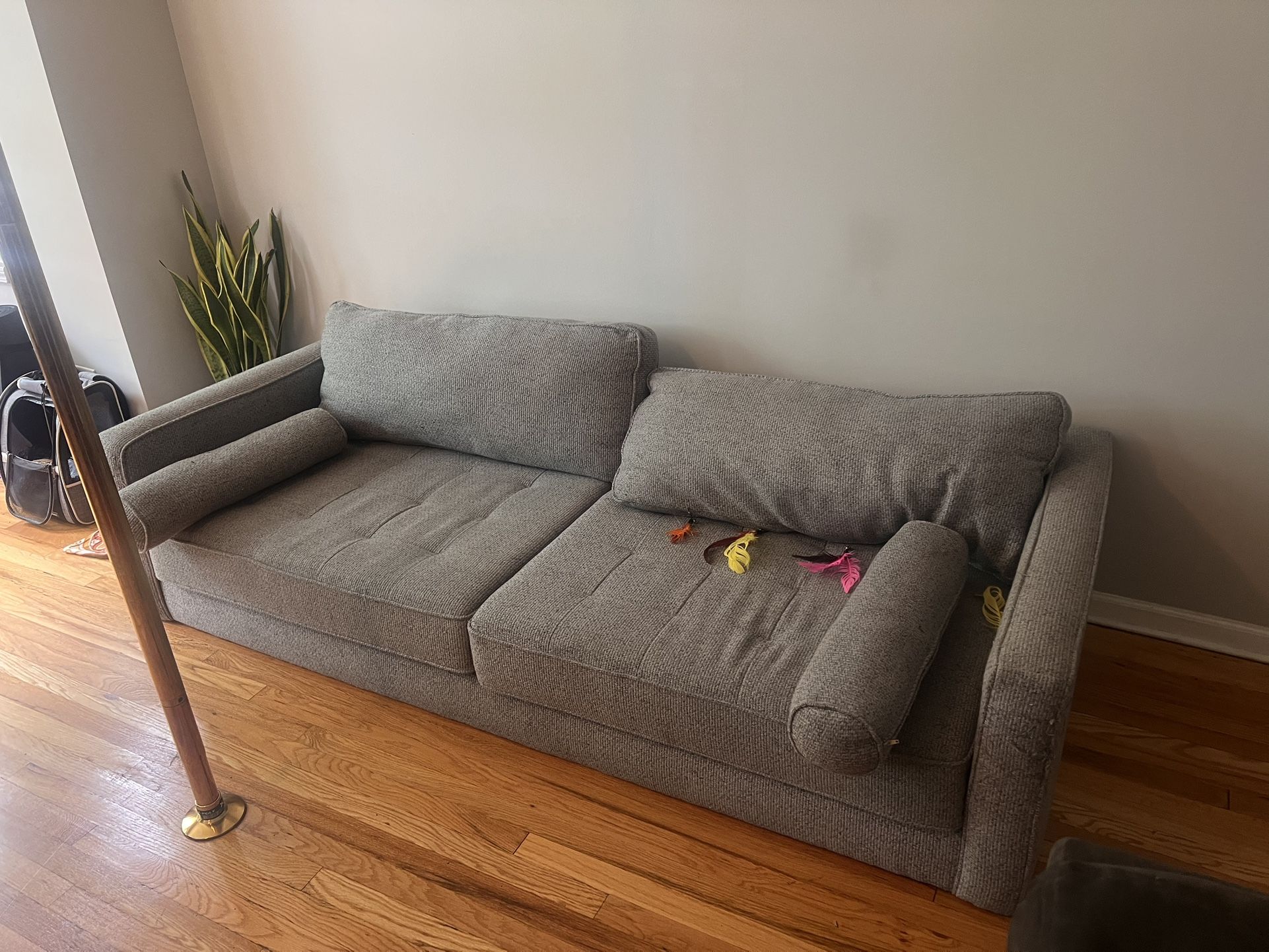 Free Grey Couch