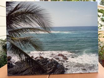 Tropical Ocean View Palm Tree Stretched Canvas Wall Art
