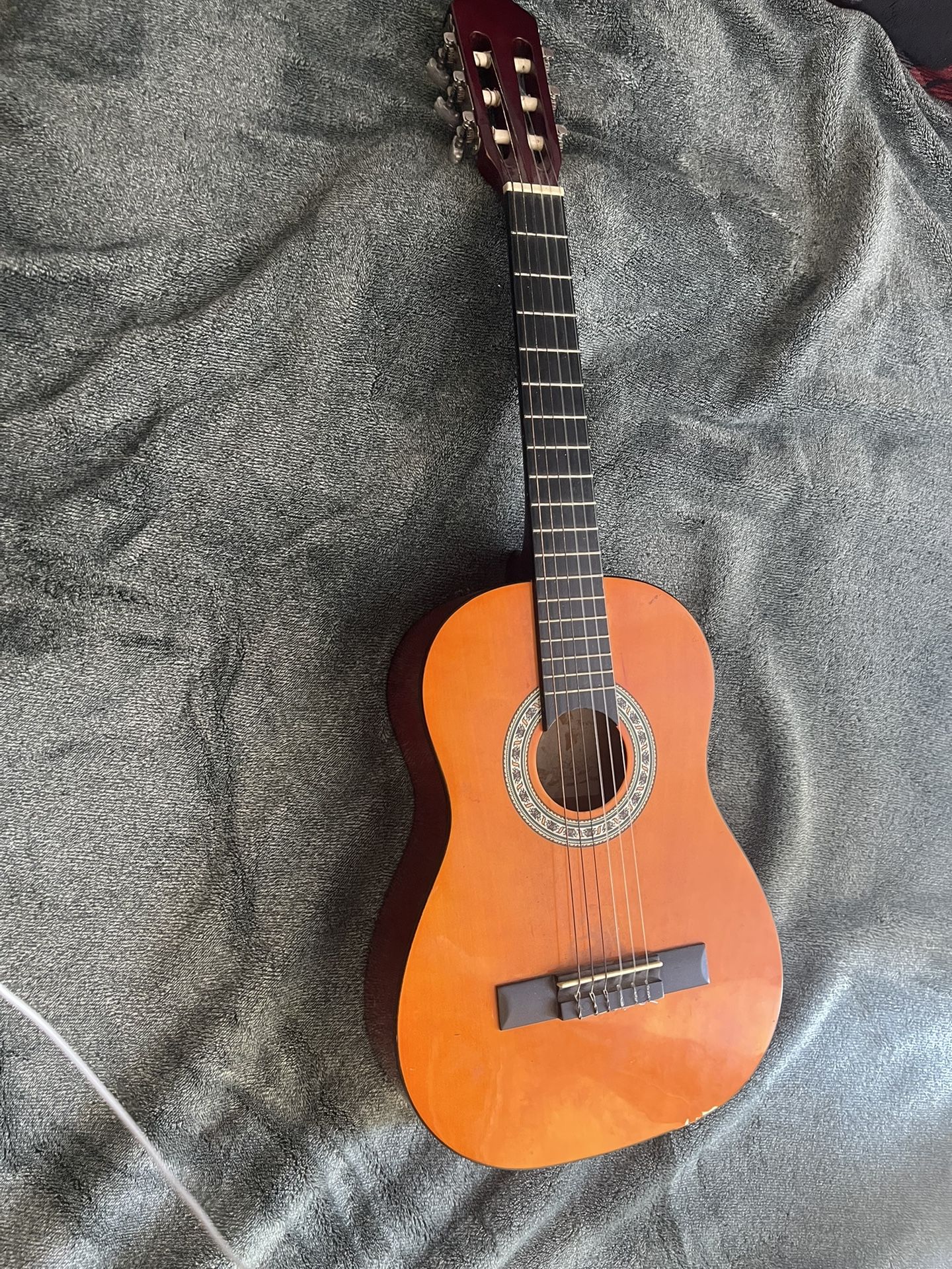 6 String Guitar