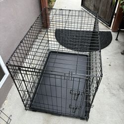 Dog Kennel 