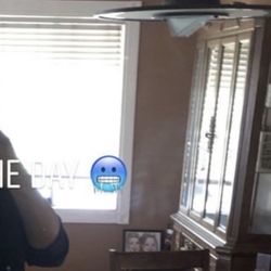 China Hutch Live Oak 