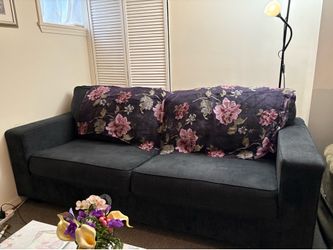 Couch & Love seat