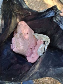 Insulation - 1 bag leftover from project - free - Denton