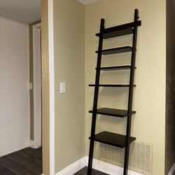 Ladder Bookshelf 