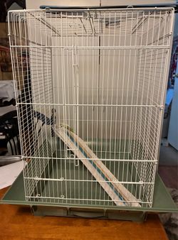Bird Cage with two perches