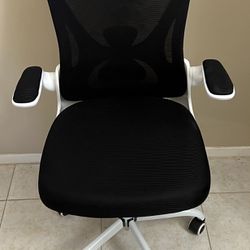 Sytas Mesh Desk Chair Lumbar Support