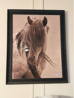 Horse painting
