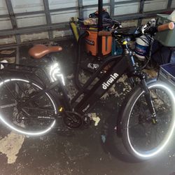 E-bike dirwin Pacer 