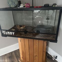 Ball Python Enclosure W Everything