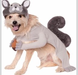 Halloween pet costume XL