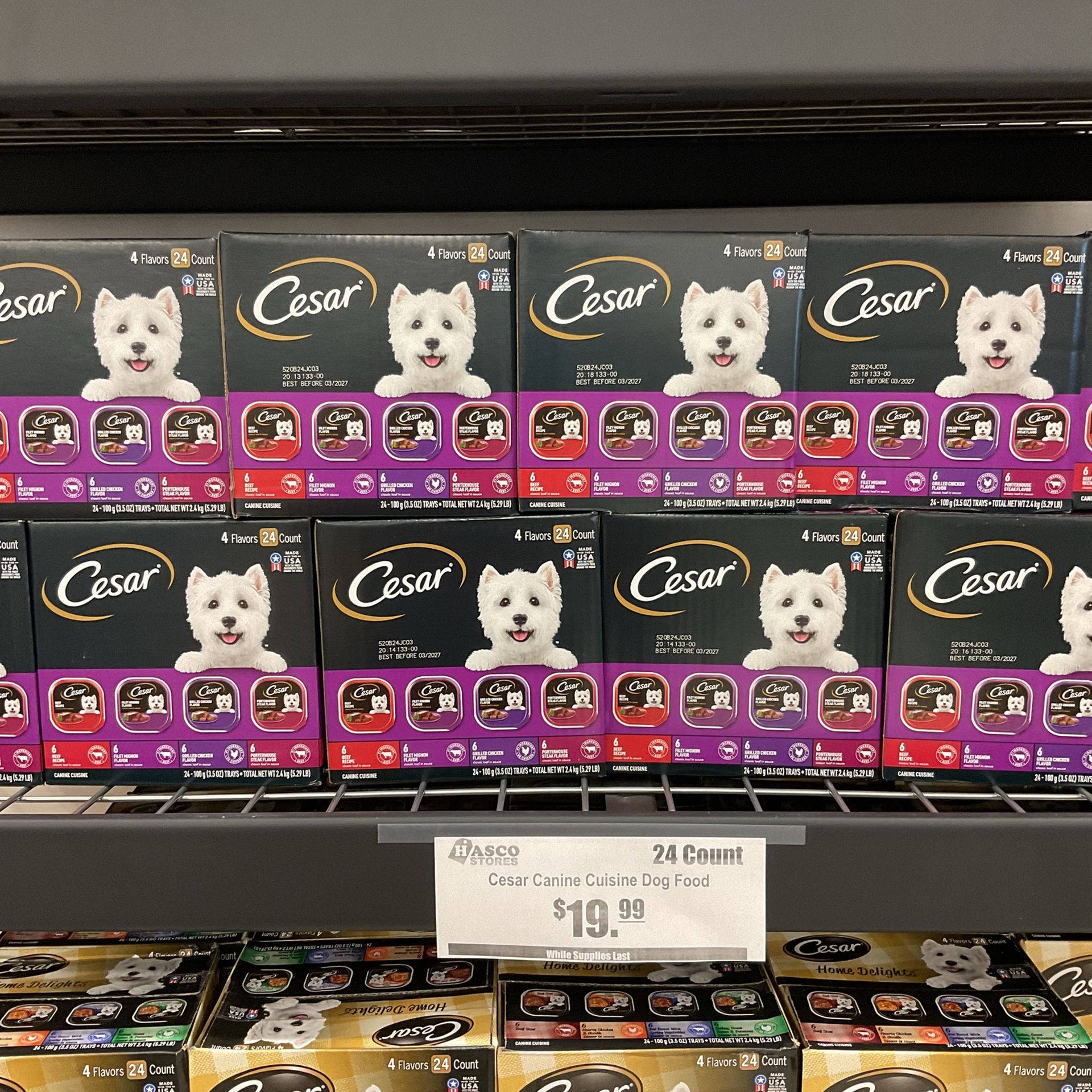 Ceaser Dog Food 24 Ct