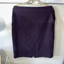 Express Pencil Skirt