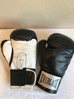 Everlast 12 oz Boxing Gloves