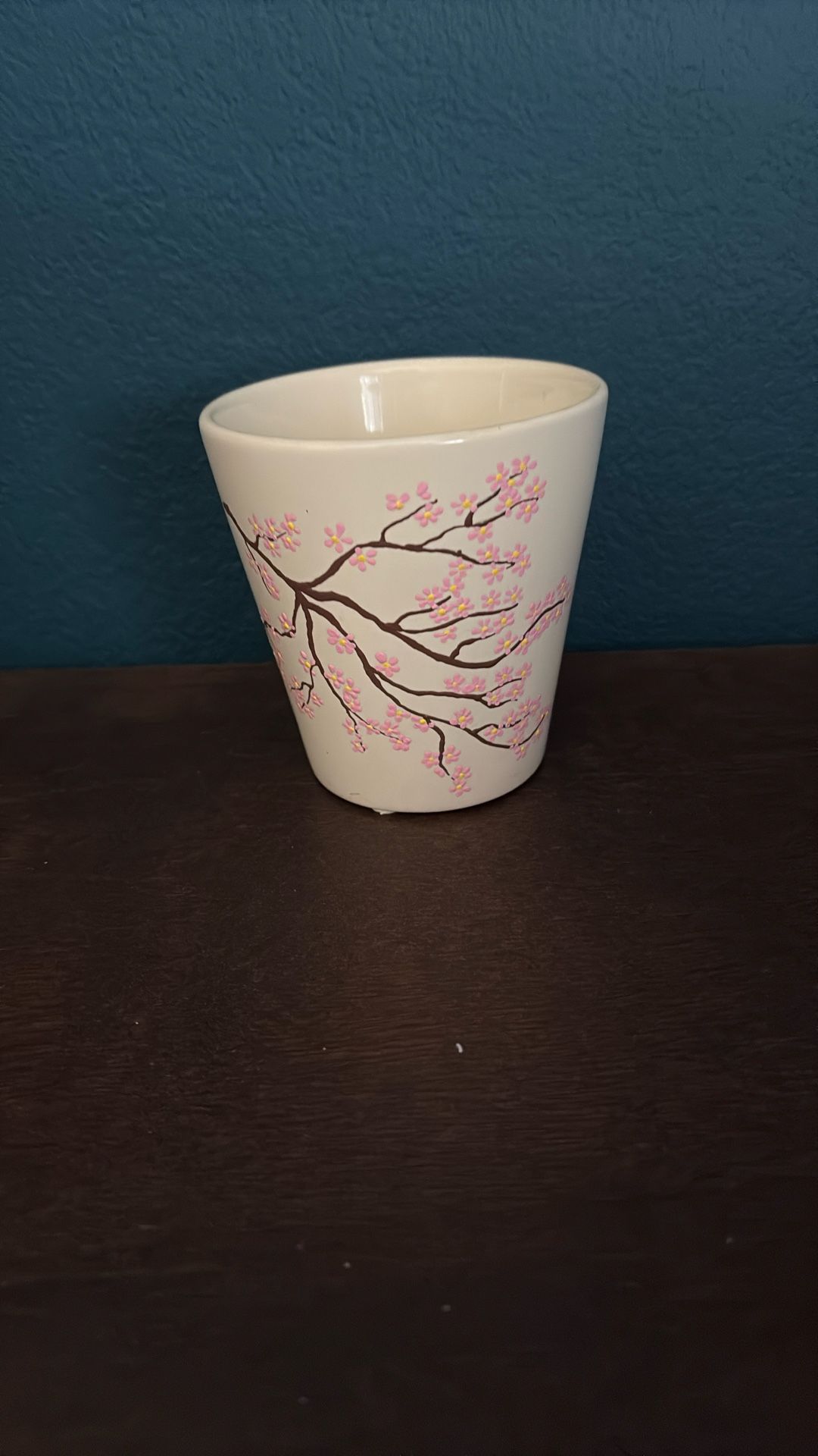 Japanese Sakura Cherry Tree