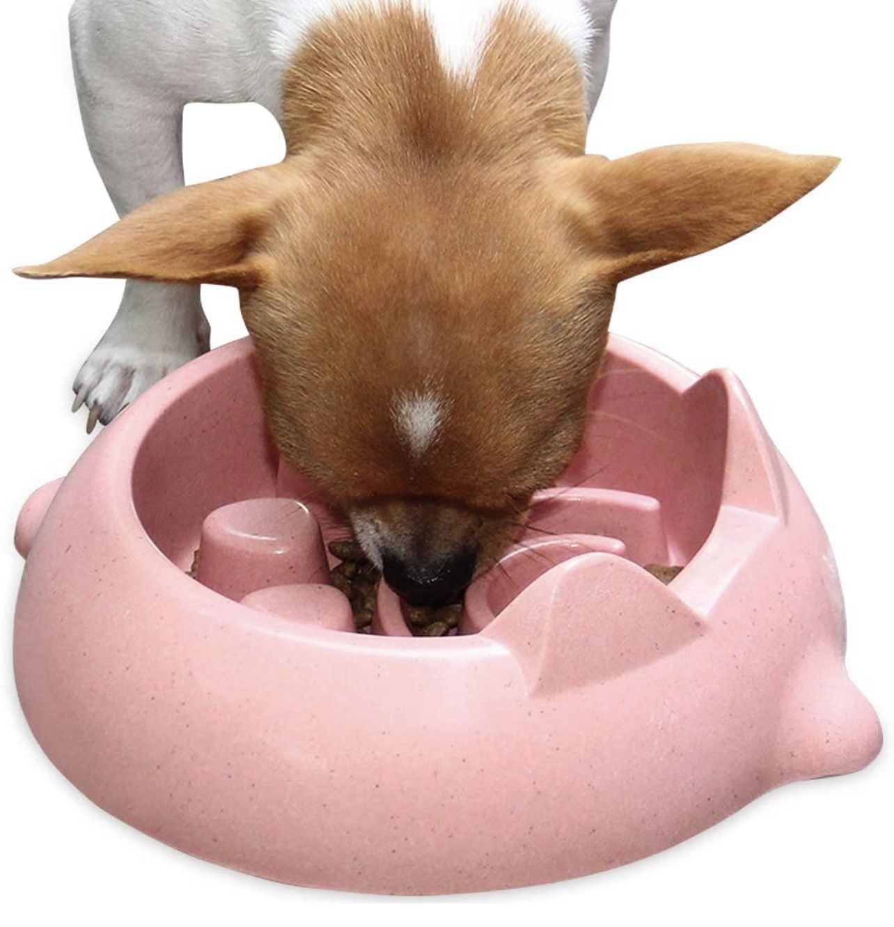Slow Feeder Bowl for Dog