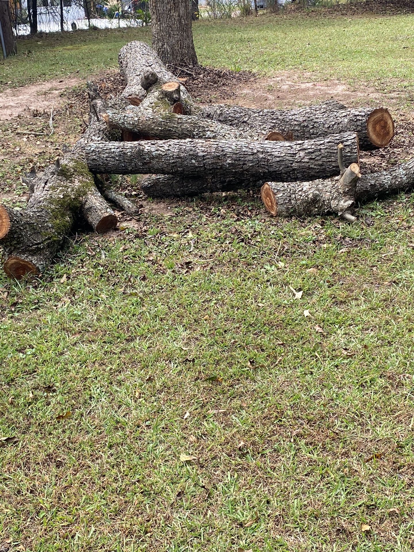 Free Firewood 