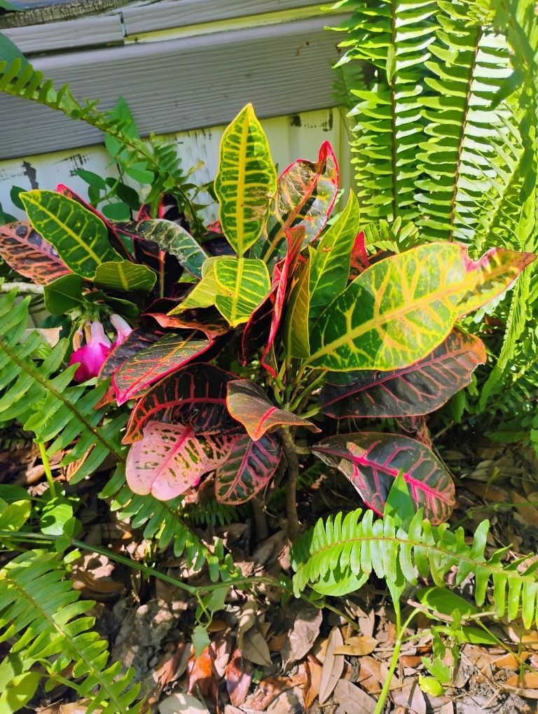 Part Of Estate Sale Must Go Tonight