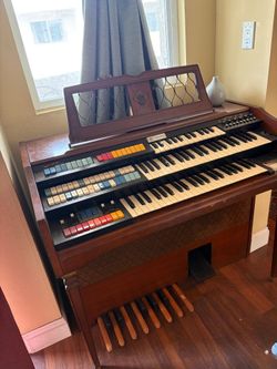 Organ