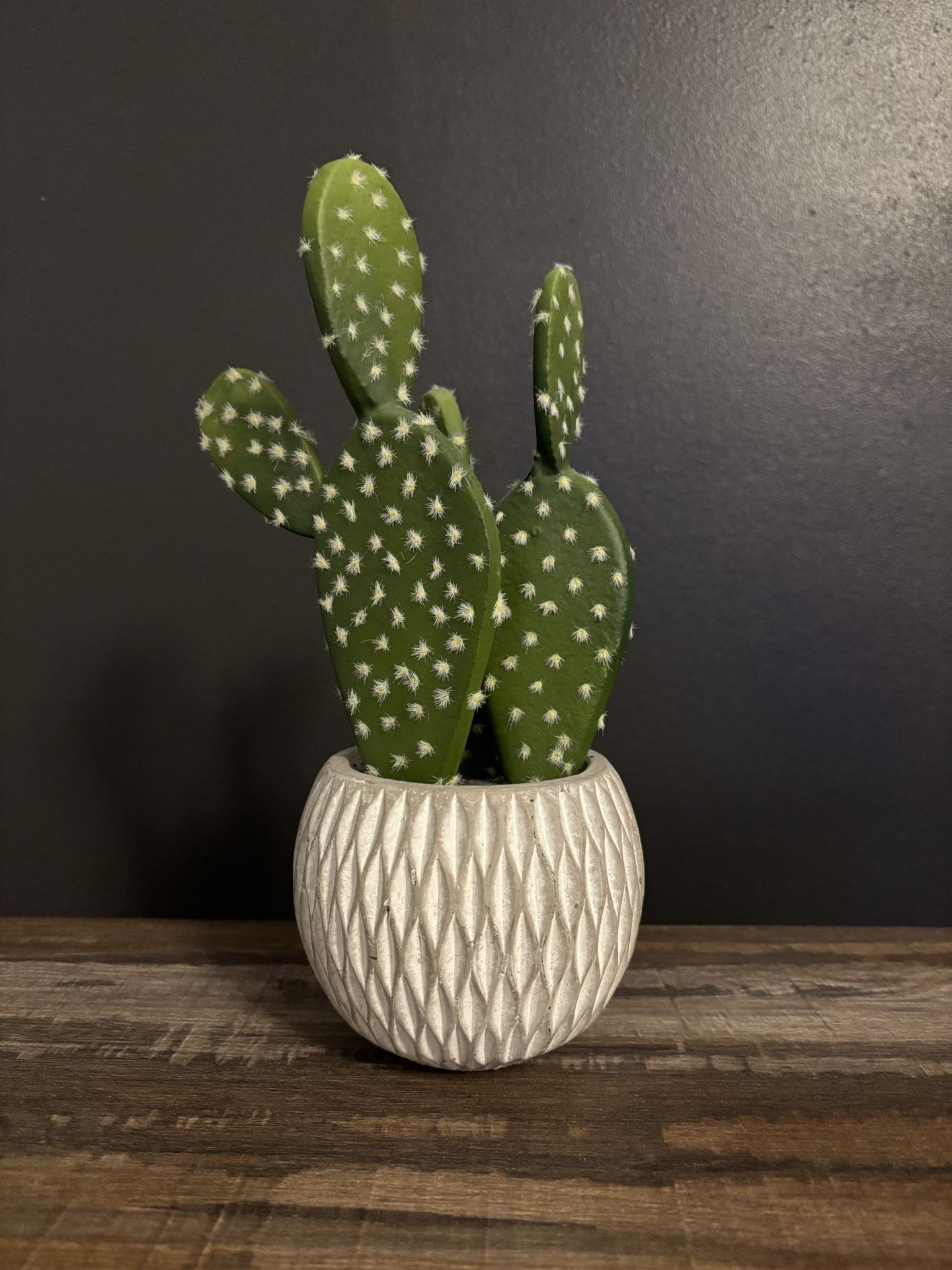 Faux Cactus Plant