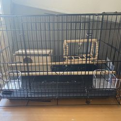 Bird Cage and Accessories