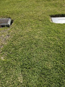 Cemetery Plot (MUST BE MILITARY VETERAN OR FIRST RESPONDER)