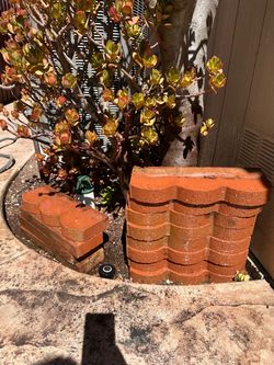 Free 12 Red Straight Scallop Concrete Edger