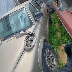 2010 Dodge Dakota