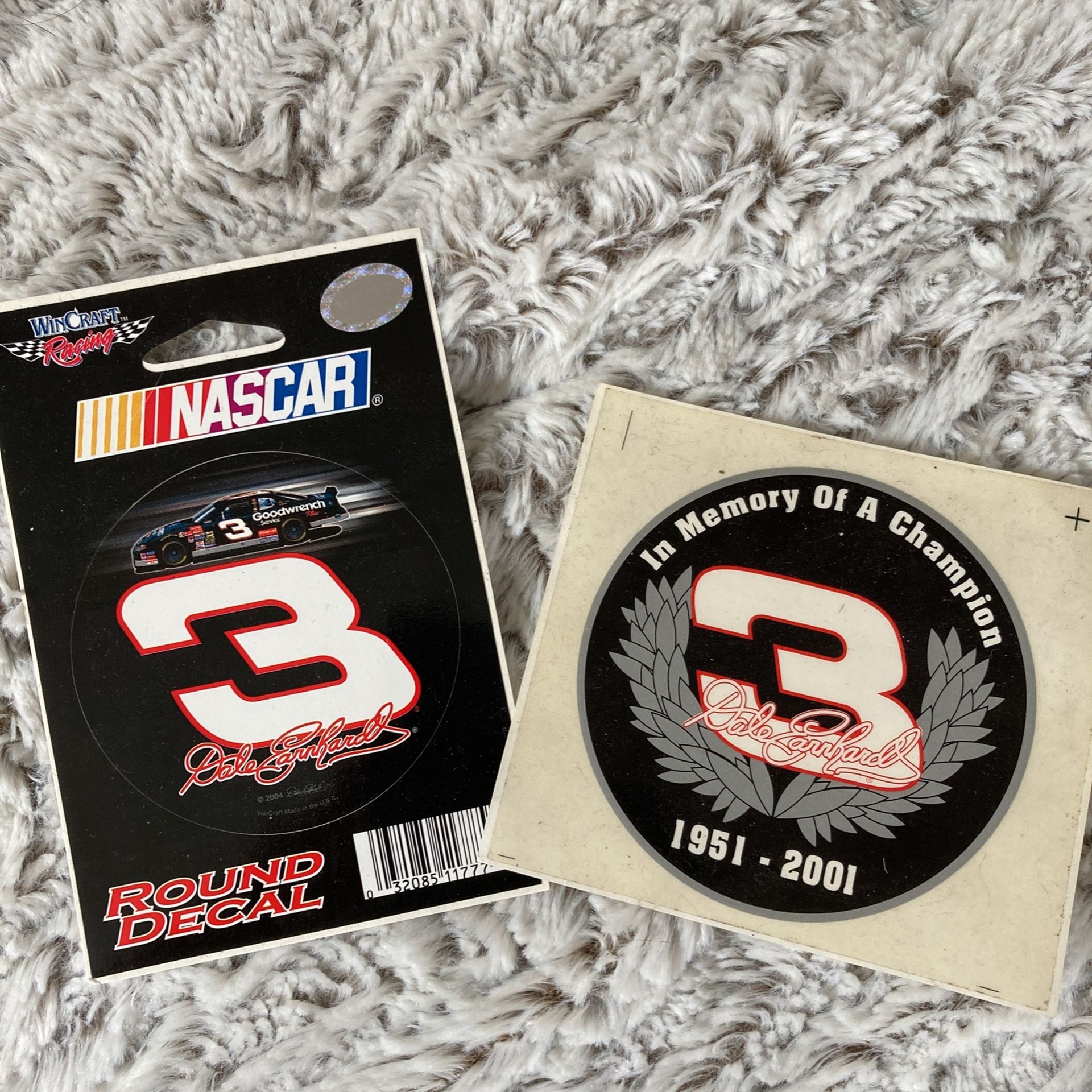 Dale Earnhardt 3