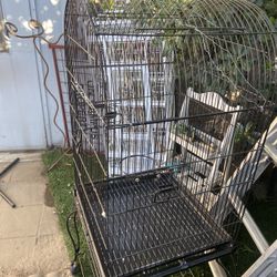 Parrot Cage 