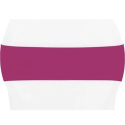 Spandex Chair Sash