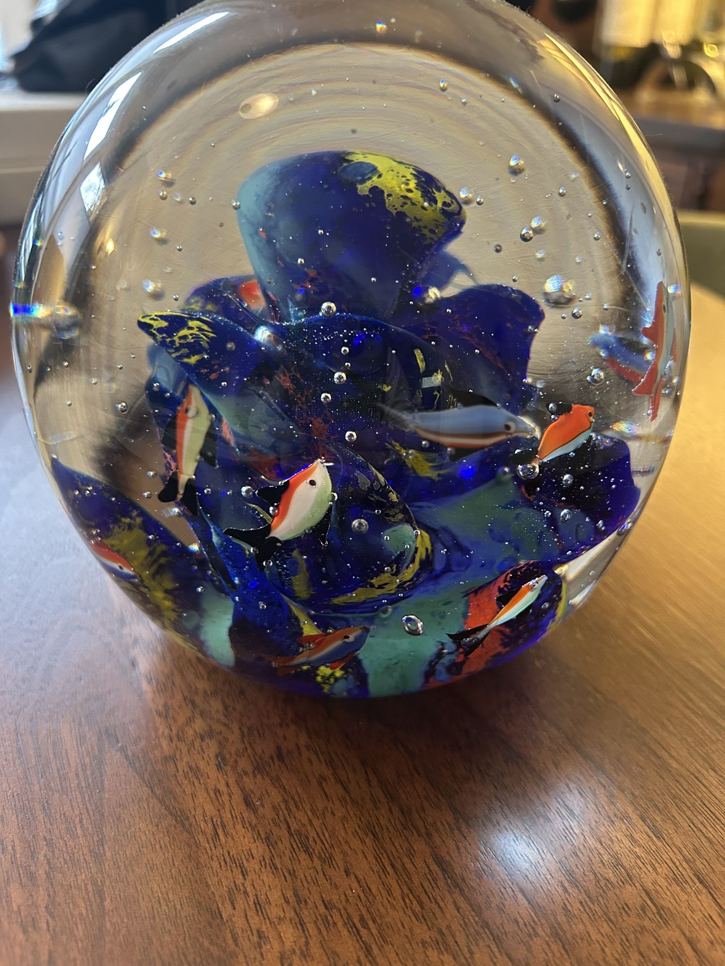 Glass Aquarium- 8” Diameter With Light