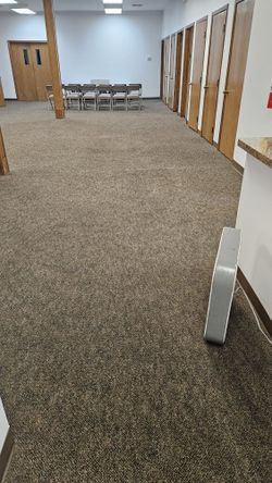 Shampoo Carpets Service Chicago An Suburbs Low Prices