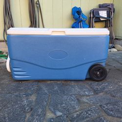 65+ Quart Coolers-$30 Each