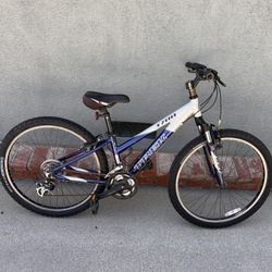 Trek Mountain Bike 